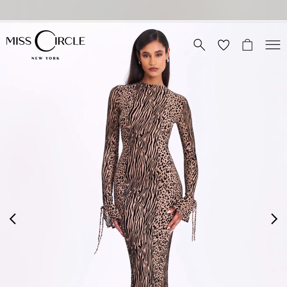 Animal Print Dress